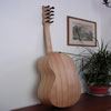 Chitarra battente cilentana - vista posteriore