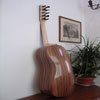 Chitarra battente settecentesca - vista posteriore