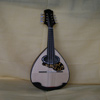 Mandolino moderno (II) - vista frontale