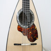 Mandolino moderno - dettaglio