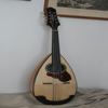 Mandolino moderno - vista di profilo